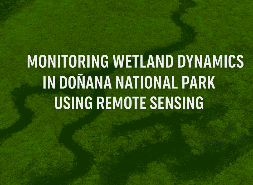 Monitoring Wetland Dynamics in Doñana National Park Using Remote Sensing